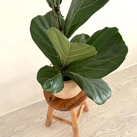 Дом отдыха Sea Haus - Modern House In Monciskes *