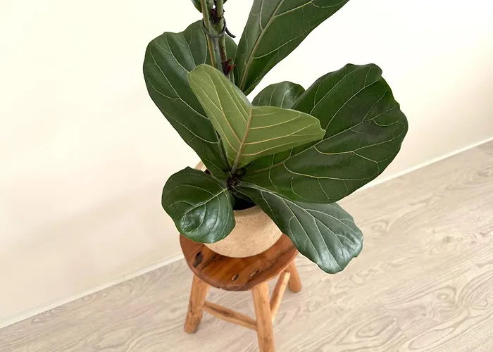 בית נופש Sea Haus - Modern House In Monciskes *